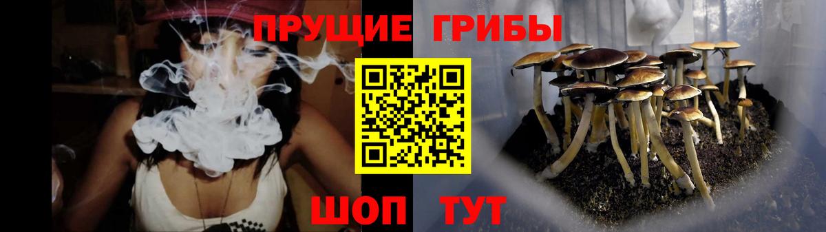 Отрадный  как найти закладки  Псилоцибиновые грибы Magic Shrooms  Вход с VPN  Псилоцибиновые грибы Magic Shrooms 